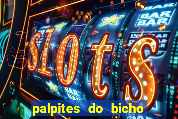 palpites do bicho no celular