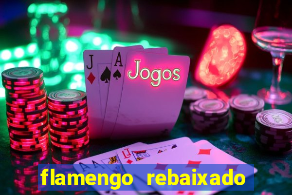 flamengo rebaixado em 1995