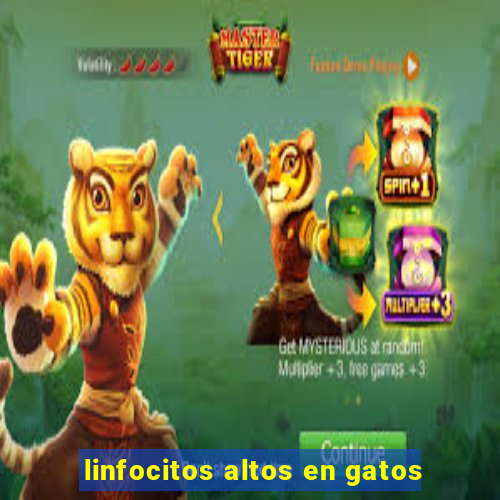 linfocitos altos en gatos