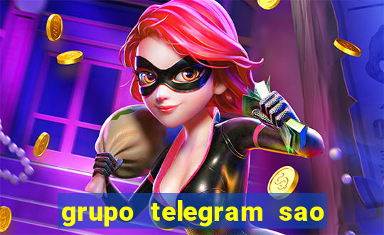 grupo telegram sao jose do rio preto