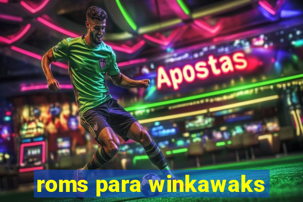 roms para winkawaks