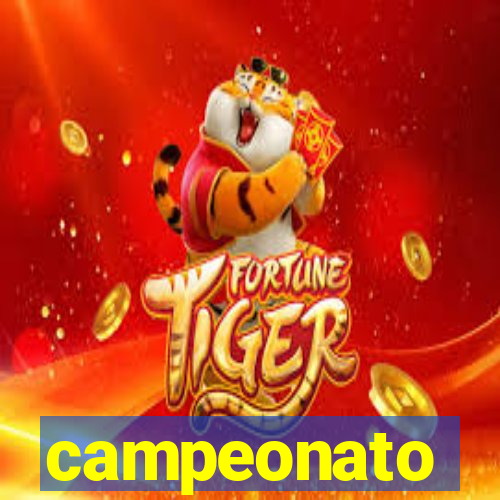 campeonato brasileiro standings