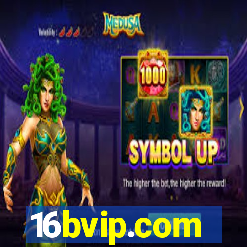 16bvip.com