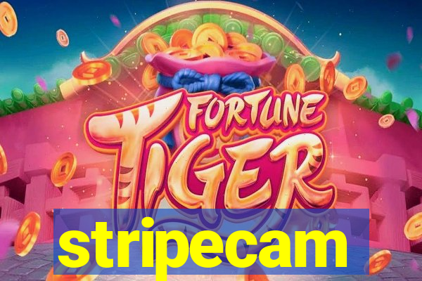 stripecam