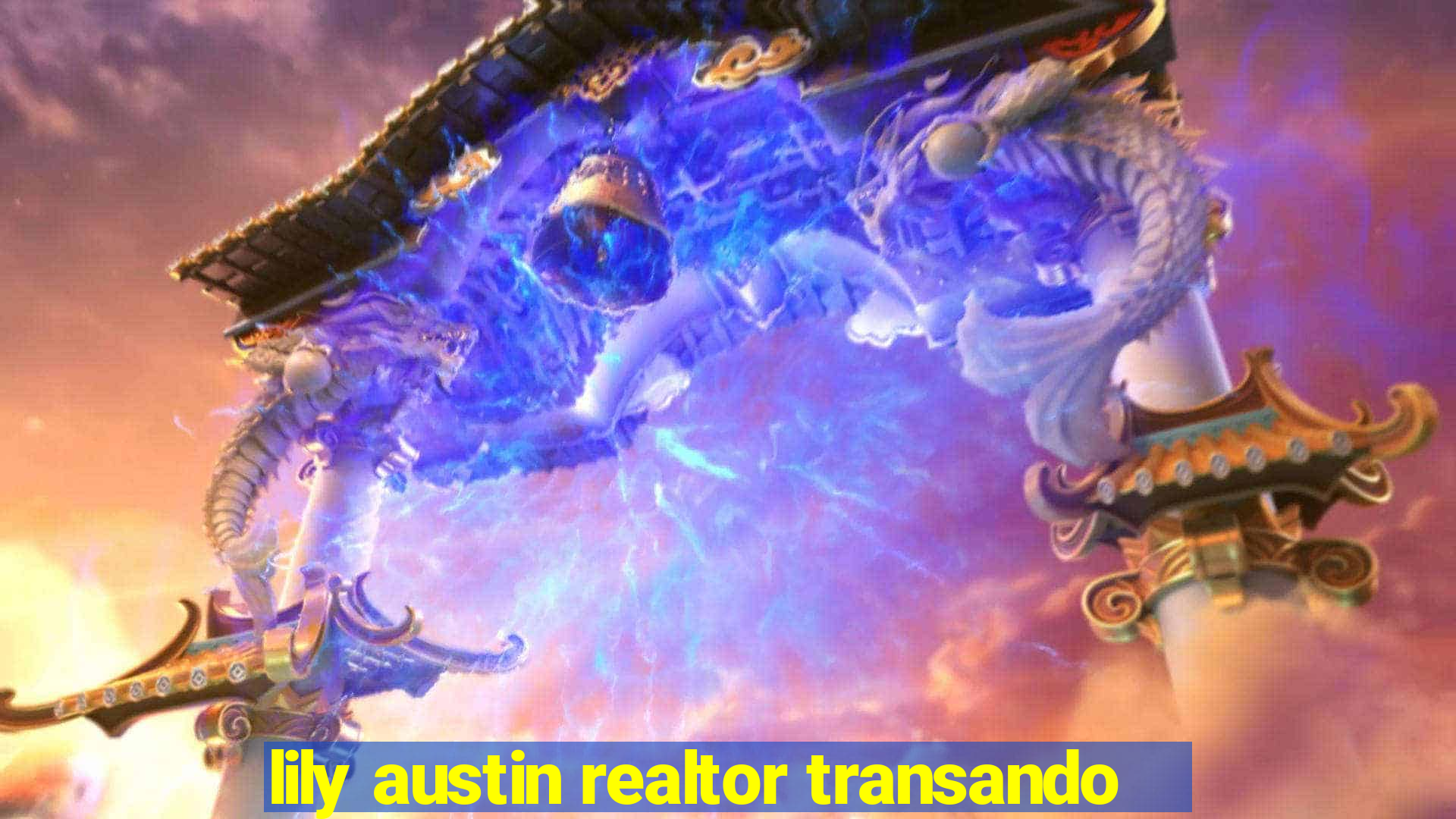 lily austin realtor transando