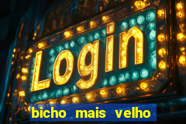 bicho mais velho da loteria dos sonhos
