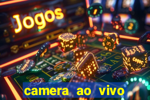 camera ao vivo terminal vila nova cachoeirinha