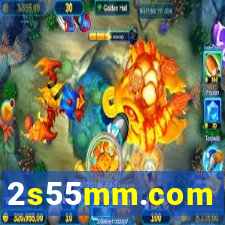 2s55mm.com