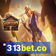 313bet.co