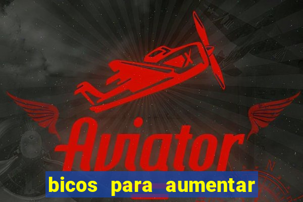 bicos para aumentar a renda