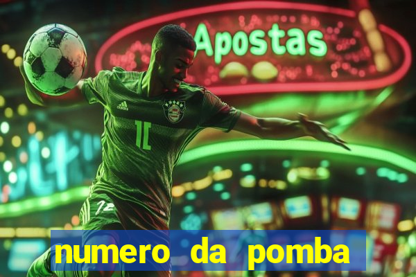 numero da pomba jogo do bicho