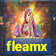 fleamx