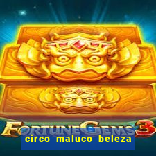 circo maluco beleza recife circo maluco