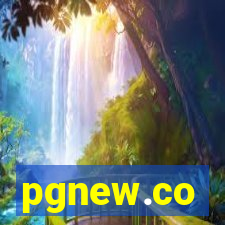pgnew.co
