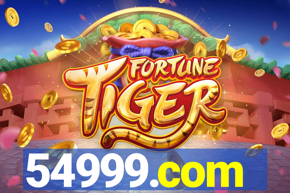 54999.com