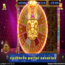 cachorro portal zacarias