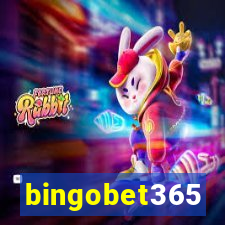 bingobet365