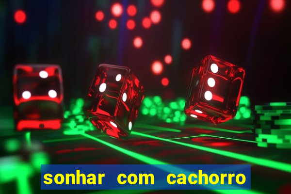 sonhar com cachorro cruzando jogo do bicho