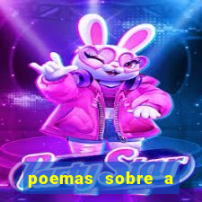 poemas sobre a bahia jorge amado