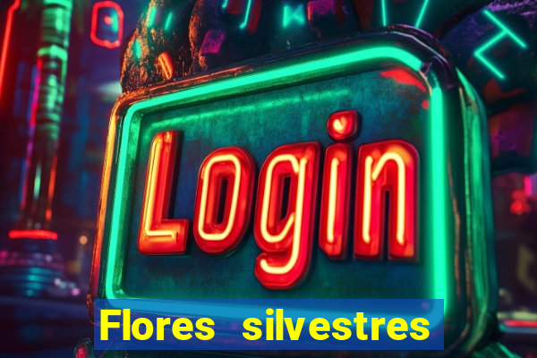 Flores silvestres brasileiras 25
