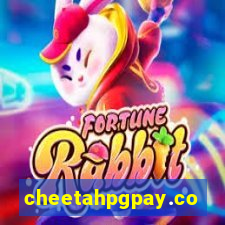 cheetahpgpay.com