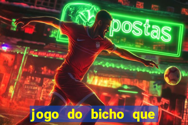 jogo do bicho que paga no pix