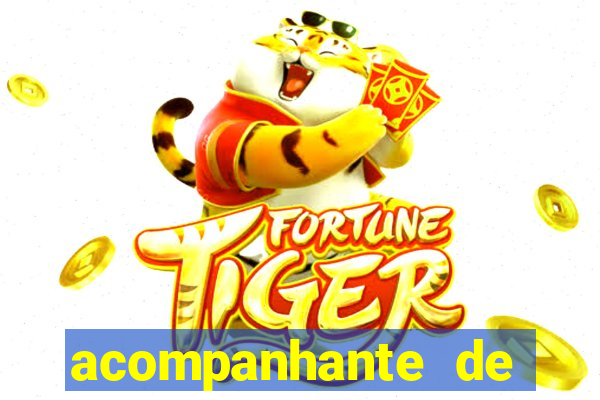 acompanhante de luxo baixada fluminense