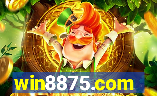win8875.com