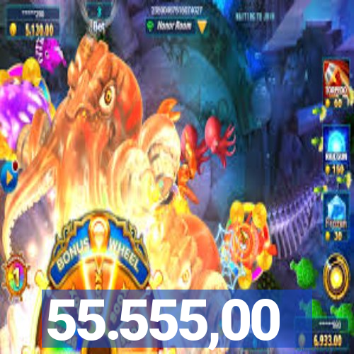 55.555,00