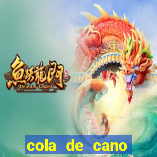 cola de cano quanto tempo para secar