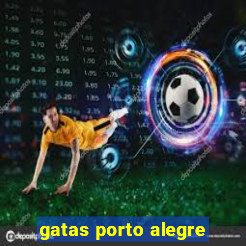 gatas porto alegre
