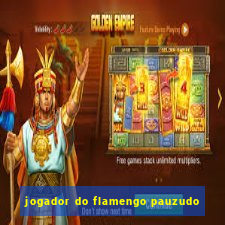 jogador do flamengo pauzudo