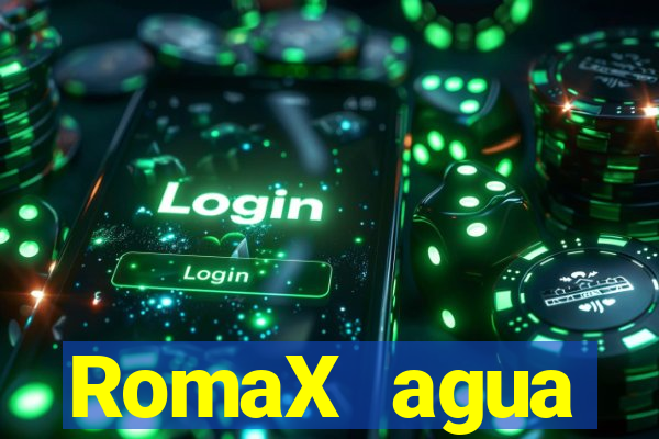 RomaX agua sanitaria fispq agua sanitaria romax