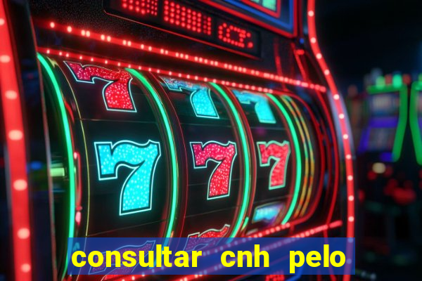 consultar cnh pelo cpf sp