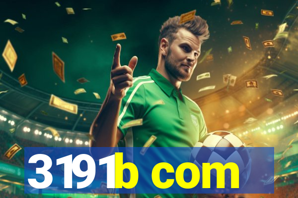3191b com