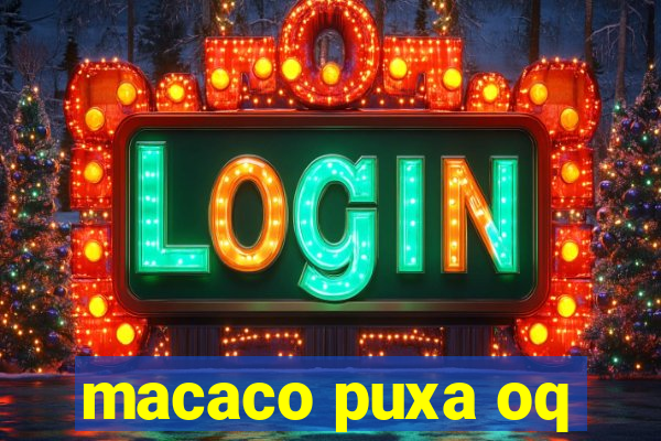 macaco puxa oq