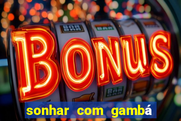 sonhar com gambá jogo do bicho