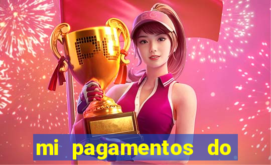 mi pagamentos do brasil ltda