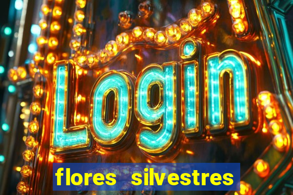 flores silvestres desbravadores desbravadores 25