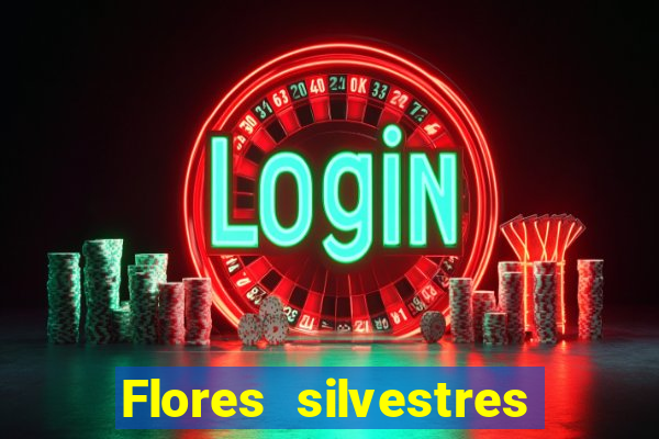 Flores silvestres brasileiras brasileiras flores silvestres nomes e imagens