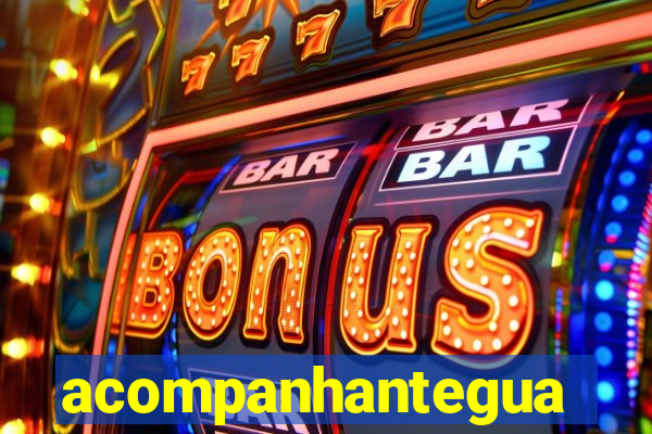 acompanhanteguanambi