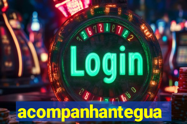 acompanhanteguanambi