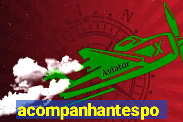 acompanhantesportovelho