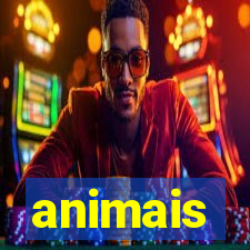 animais-pg.com