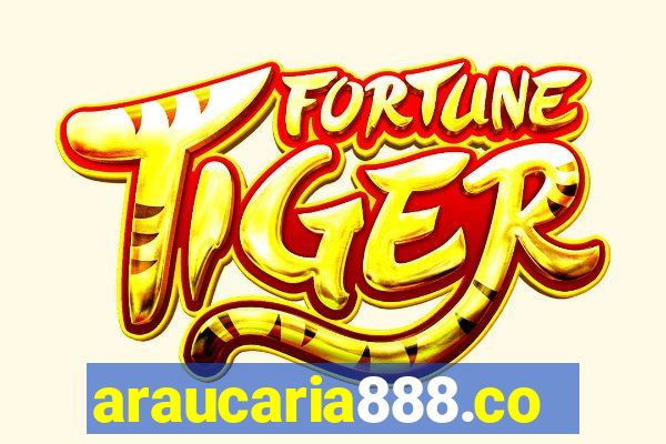 araucaria888.com