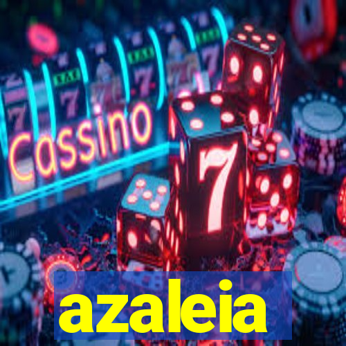 azaleia-br.com