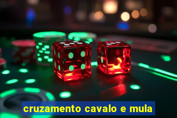 cruzamento cavalo e mula