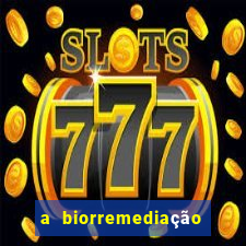 a biorremediação é uma tecnologia sustentável?