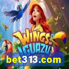 bet313.com