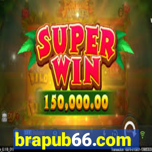 brapub66.com
